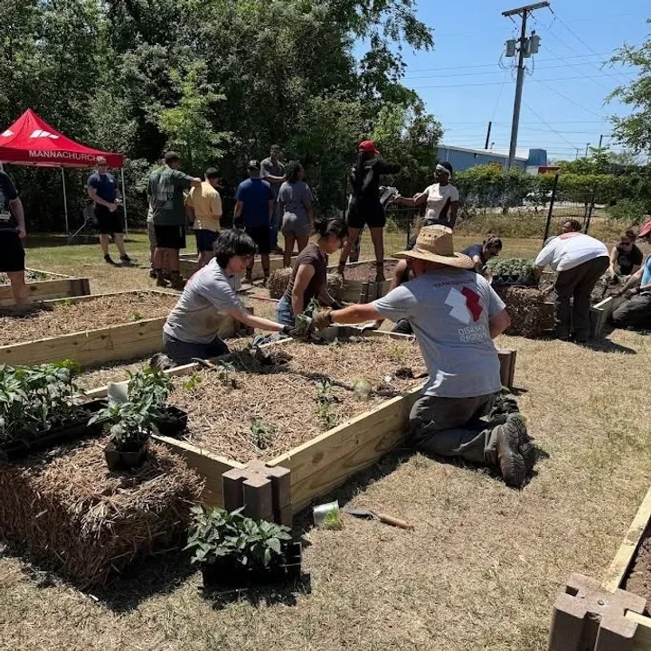 Volunteers kneeling together, planting seedlings in a raised garden bed