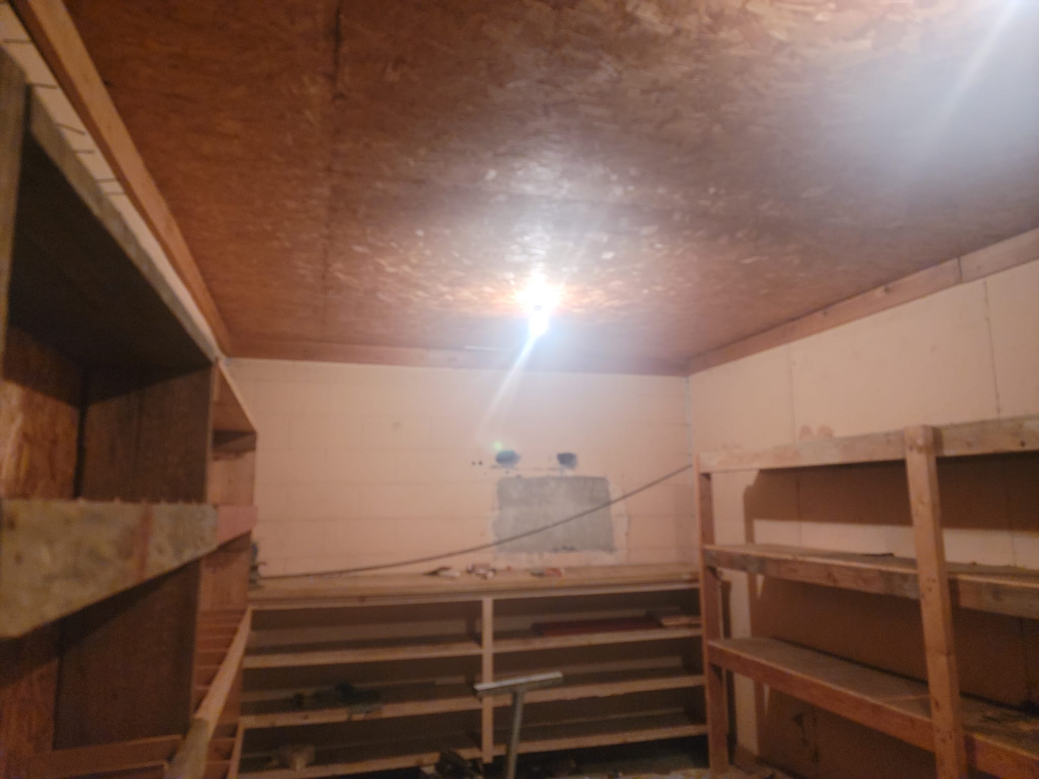 Rough timber shelving built into an unfinished store room